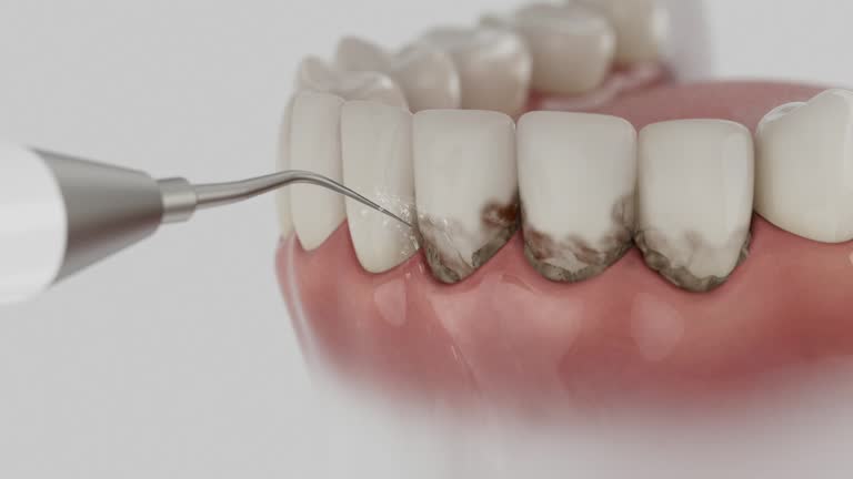 Reliable Dental contractor in Palm Harbor, FL by Dentist Open Now