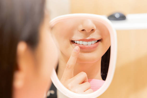 Affordable Dental solutions in Palm Harbor, FL