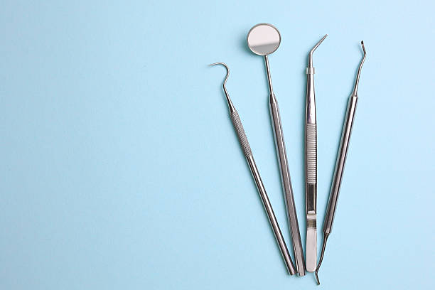 Top rated local Dental specialists in Palm Harbor, FL